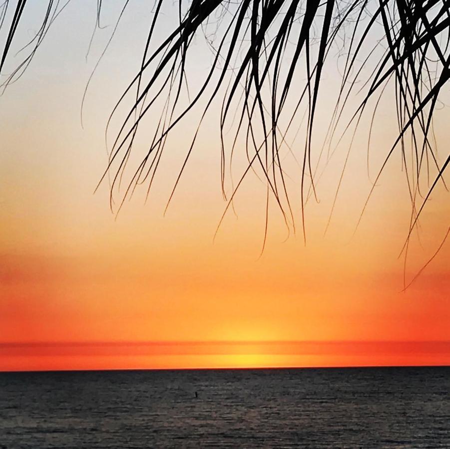 201 Sandy Shores Condos St. Pete Beach Bagian luar foto